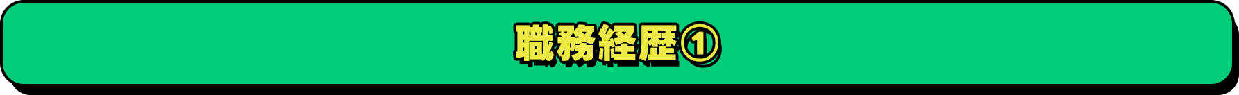 職務経歴1