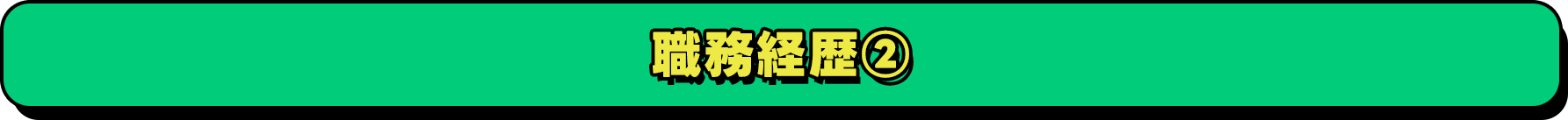 職務経歴2