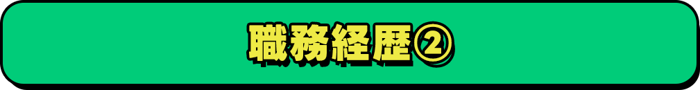 職務経歴2