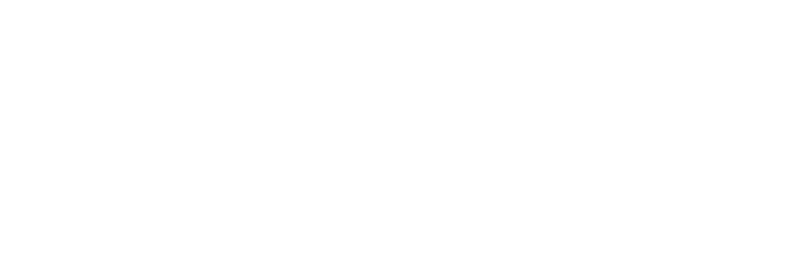 Internship Program