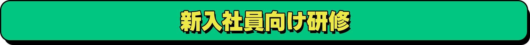 新入社員向け研修