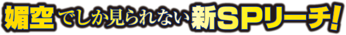 媚空でしか見られない新SPリーチ！