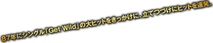 87年にシングル「Get Wild」の大ヒットをきっかけに、立てつづけにヒットを連発。